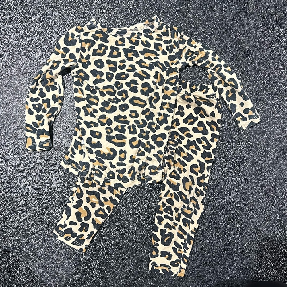 Posh Peanut 2 piece pajama set